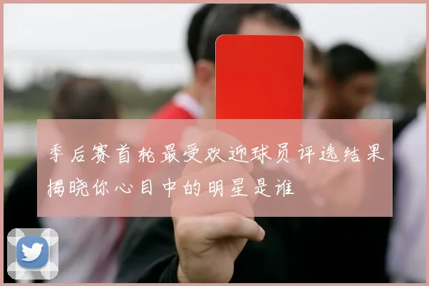 季后赛首轮最受欢迎球员评选结果揭晓你心目中的明星是谁